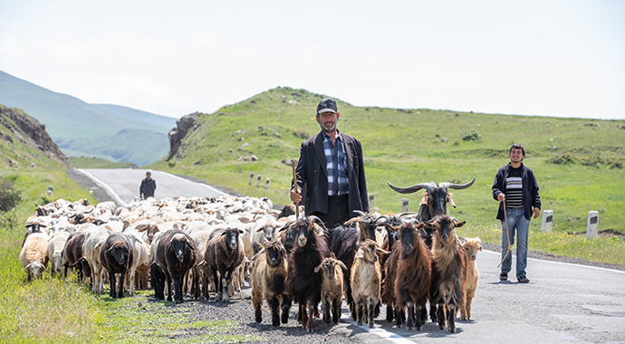 Farmer Armenia by Kertu Shutterstock