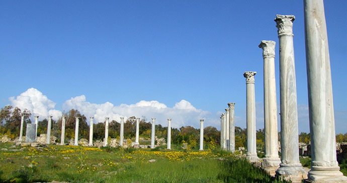 Salamis Roman ruins North Cyprus by judy, Shutterstock