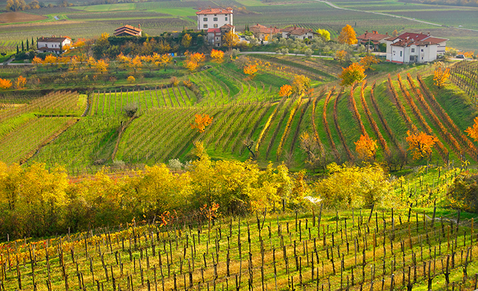 The Collio wine region Friuli Venezia Giulia Italy by Luciano Mortula, LGM Shutterstock
