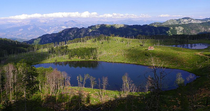 The Lura National Park, Albania by Ermal Hasimja, Wikimedia Commons