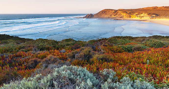 Coast Alentejo Portugal by by Dmitry Kornilov Shutterstock