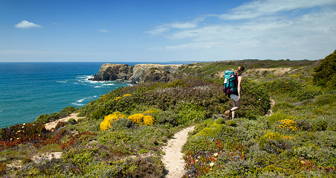 Rota Vincentina Alentejo Portugal by Hans Slegers Dreamstime