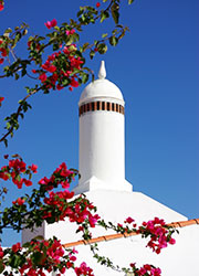 Traditional white chimney through spring blooms © inacio pires, Shutterstock Chimney Alentejo Portugal Europe by inacio pires, Shutterstock