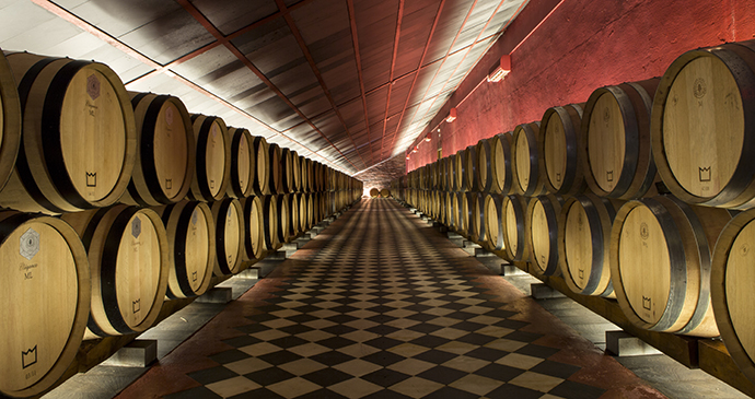 Herdade Reynolds winery Alentejo Portugal Europe by Alex Robinson
