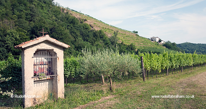 Brda wine region Slovenia Alpe Adria Trail by Rudolf Abraham