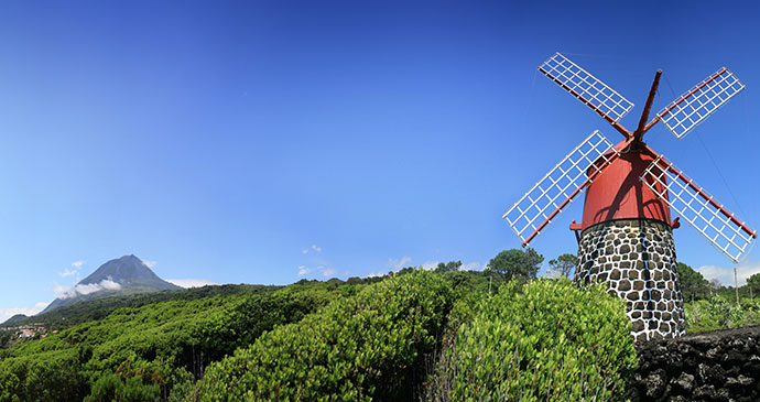 Windmill Faial Azores Dave, Dreamstime