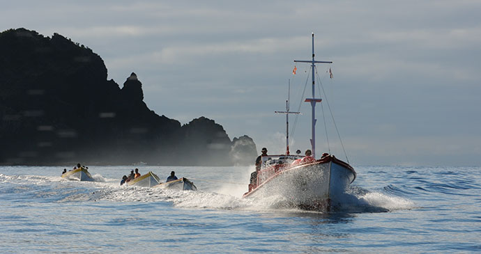 Whale watching Azores by Henman, Shutterstock