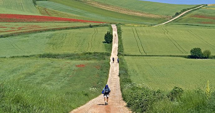 Camino Frances Basque Country Spain by Sjors737 Dreamstime