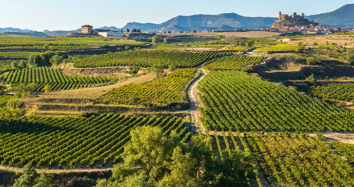 Rioja Alavesa vineyards Spain Basque Country by Alberto Loyo Shutterstock best wine regions in the world