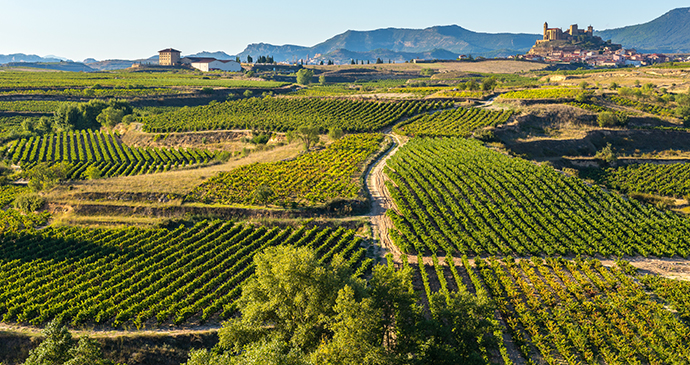 Rioja Alavesa vineyards Spain Basque Country by Alberto Loyo Shutterstock best wine regions in the world