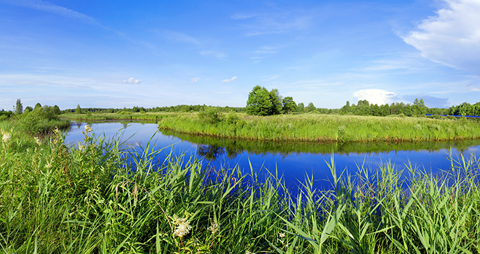 Berezinsky Biosphere Reserve Belarus Europe by nodff Shutterstock