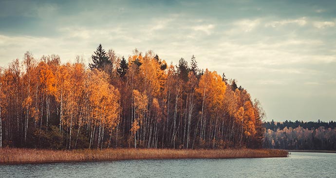 Narochansky National Park Belarus Natallia Khlapushyna Dreamstime