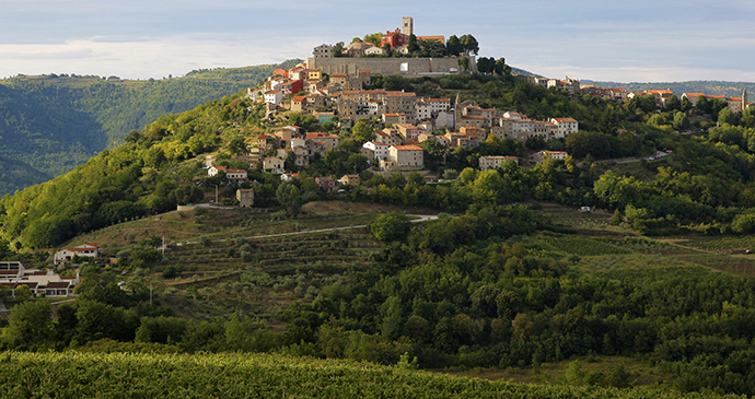 Motovun, Istria, Croatia by Istra Photonet