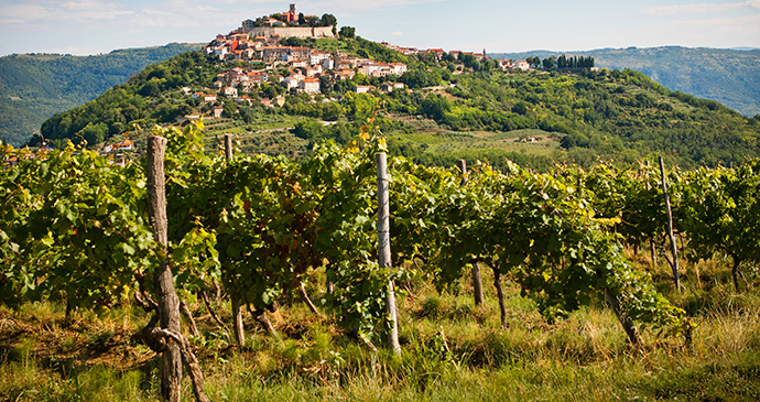 Motovun, Istria, Croatia by Vera Kailova, Shutterstock