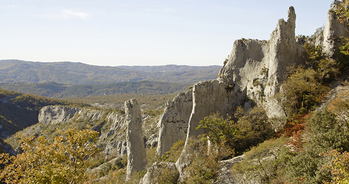 Vela Draga, Istria, Croatia by mina, Shutterstock
