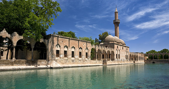 sacred pool by mosque in urfa eastern turkey by witr shutterstock