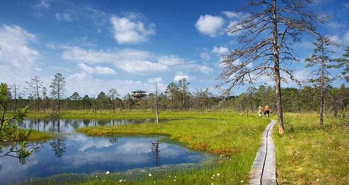 Lahemaa National Park Estonia by Visit Estonia