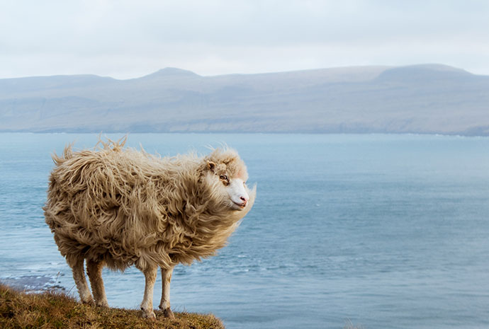 Kirkjubøur Faroe Islands by Michelle Geerardyn