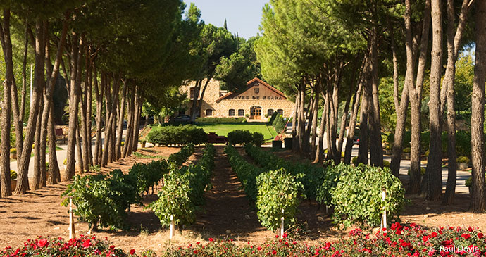 Ksara winery in Zahle, Bekaa Valley, Lebanon by © Paul Doyle best wine regions in the world