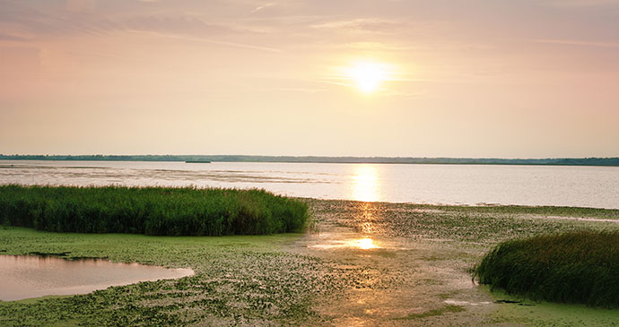 Lake Tisza Hungary Europe by waku Shutterstock