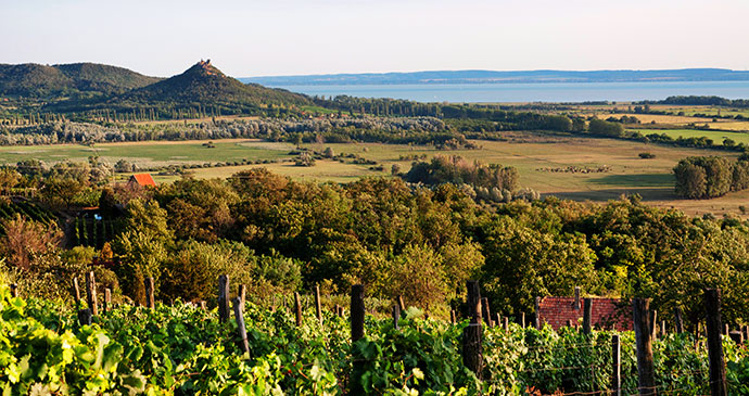 Lake Balaton Hungary by pgaborphotos Shutterstock