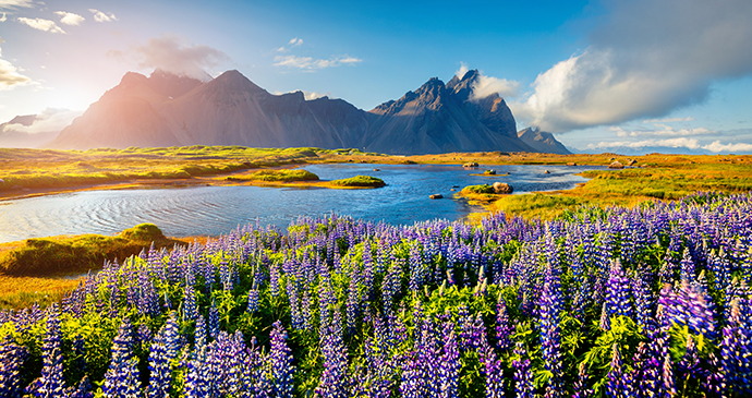 Stokknes, Iceland by Andrew Mayovskyy, Shutterstock