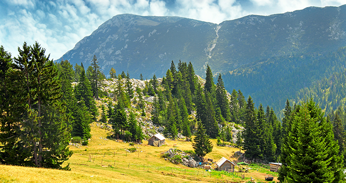 Mokra Gora, Kosovo by Pecold, Shutterstock