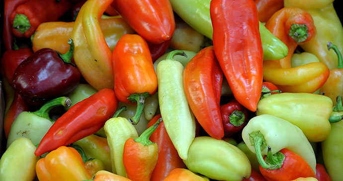 Vegetables, Kosovo by Ivan S Abrams