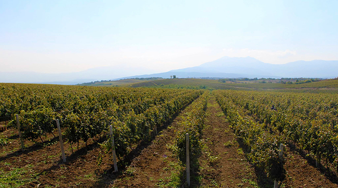 Stone Castle winery Rahovec Kosovo by Stone Castle best wine regions in the world