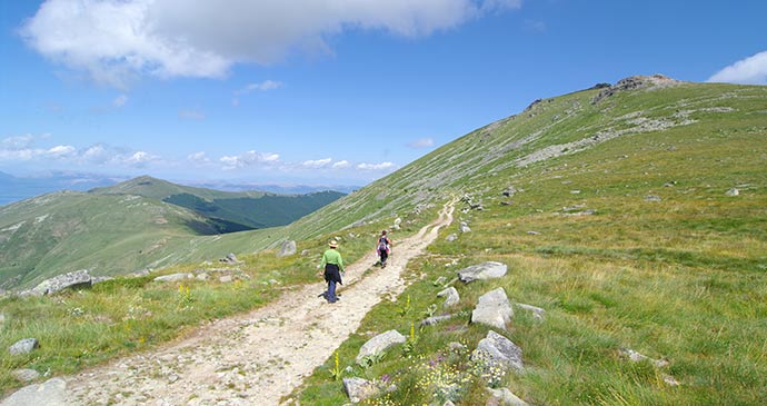 Pelister National Park, North Macedonia by ollirg, Shutterstock