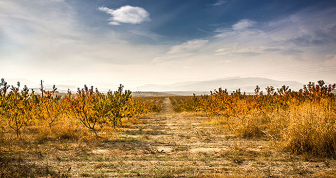 Rosoman Macedonia by Marjan Lazarevski Flickr