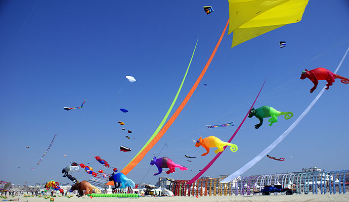 Kite festival Berck-sur-Mer France by freephoton Dreamstime