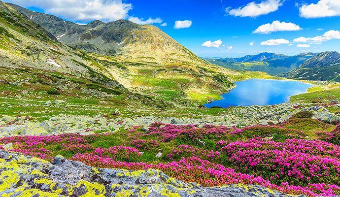 Glacial lake, Retezat National Park, Transylvania, Romania by Gaspar Jamos, Shutterstock 