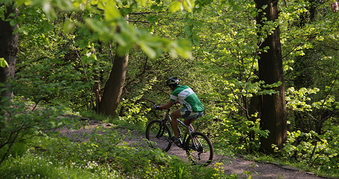Cyclist, Mt Avala, Serbia by Archive National Tourism Organisation Serbia