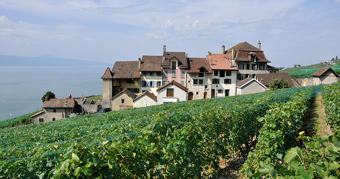 St-Saphorin in Lavaux area Switzerland by Hansueli Krapf Wikimedia Commons