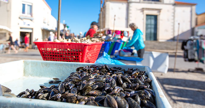 Mussels, The Vendée, France by Simon Bourcier, Vendée Expansion Pôle Tourisme