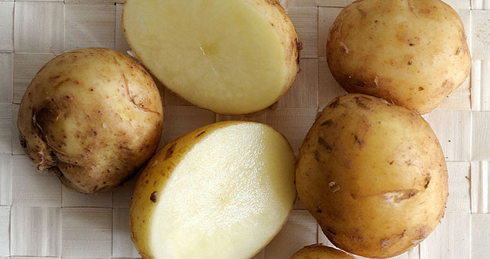 Noirmoutier potato, Vendée, France by BastienM, Wikimedia Commons