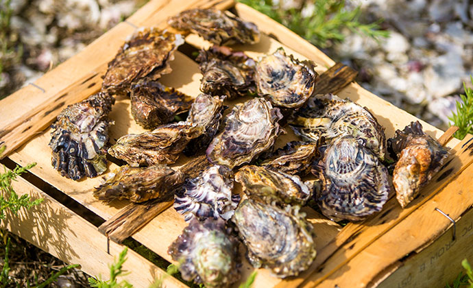 Oysters, Vendée, France by Simon Bourcier, Vendée Expansion Pôle Tourisme