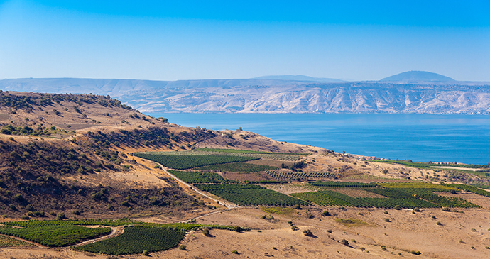 Sea of Galilee by Roman Sulla, Shutterstock