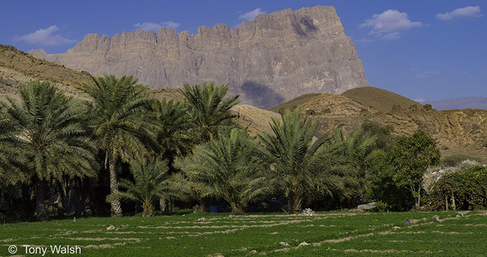 Towers at Bat Archaeological site, Oman © Tony Walsh