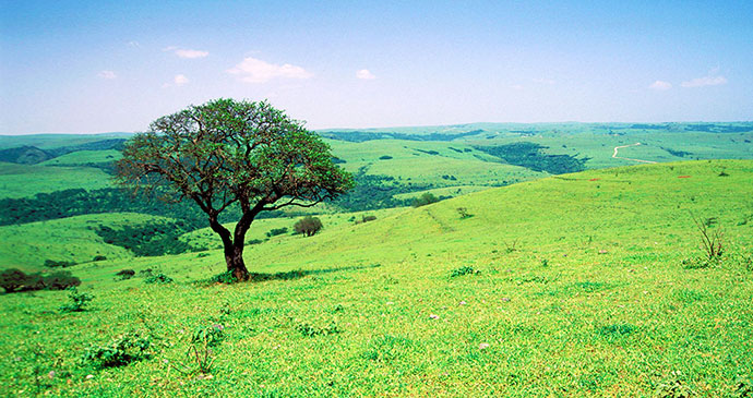 Dhofar by Oman Ministry of Tourism