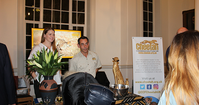 Cheetah Conservation Fund, A Cheetah's Tale by Laura Pidgley 