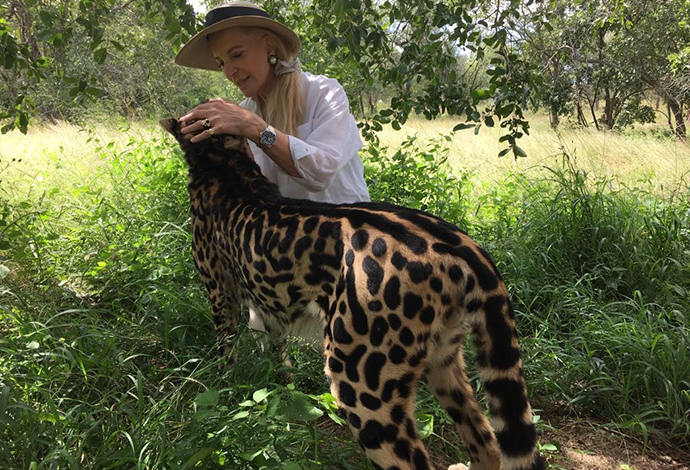 Princess Michael of Kent, A Cheetah's Tale, HRH Princess Michael of Kent 