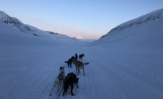 Todalen Svalbard by Kelsey Camacho