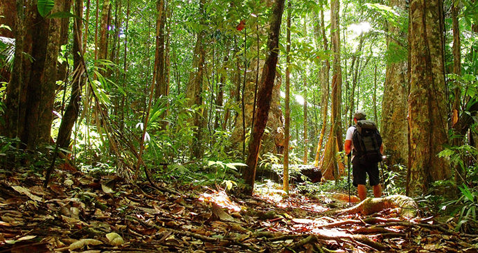 Segment 8, Wai’tukubuli National Trail, Dominica by Paul Crask