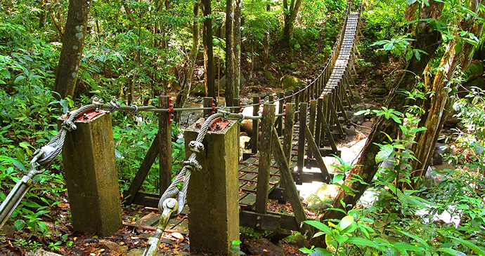 Bridge. Segment 11, Wai’tukubuli National Trail, Dominica by Paul Crask