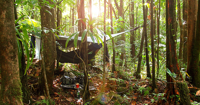 Segment 4, Wai’tukubuli National Trail, Dominica by Paul Crask 