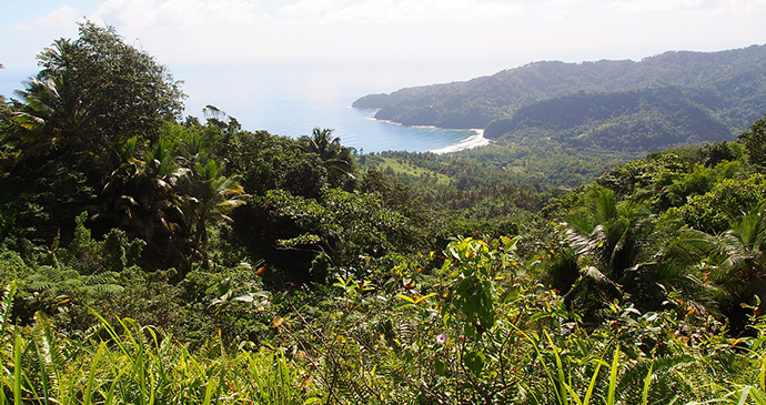 Pagua Bay, Segment 7, Wai’tukubuli National Trail, Dominica by Paul Crask