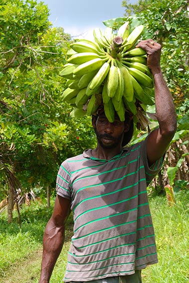 Banana farmer, Grenada by Celia Sorhaindo
