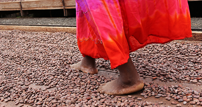 Woman walking on cocoa beans in Grenada by Qin Xie Shutterstock